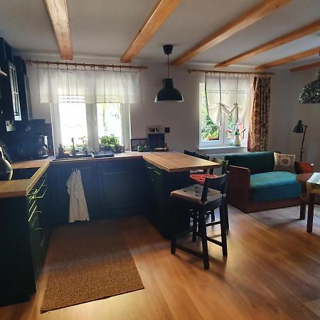 Apartamenty Magiczna Wenecja 치에신 외부 사진