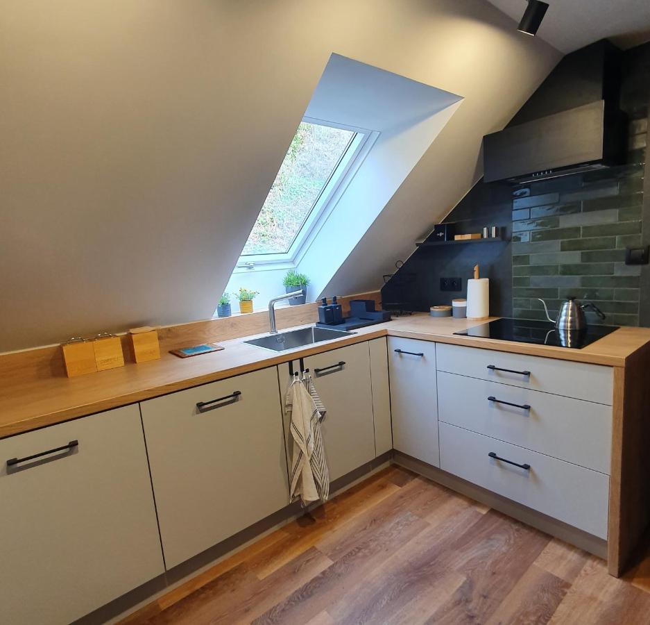 Apartamenty Magiczna Wenecja 치에신 외부 사진