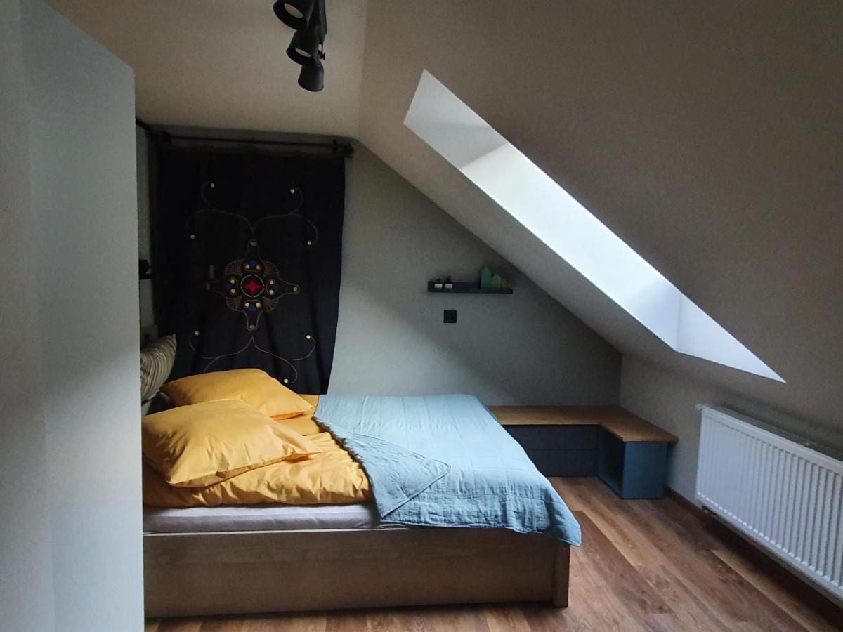 Apartamenty Magiczna Wenecja 치에신 외부 사진
